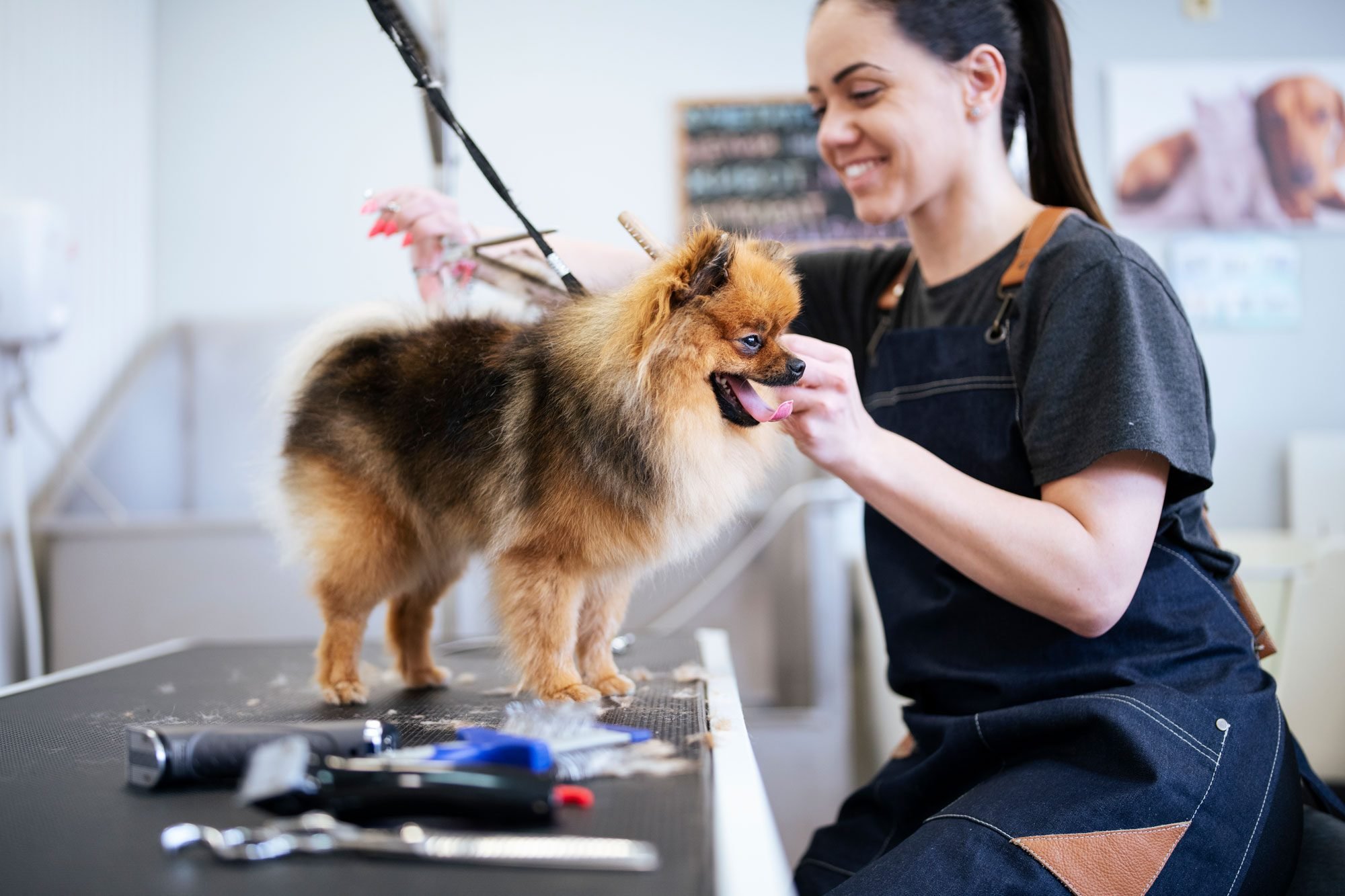 In-Store Grooming